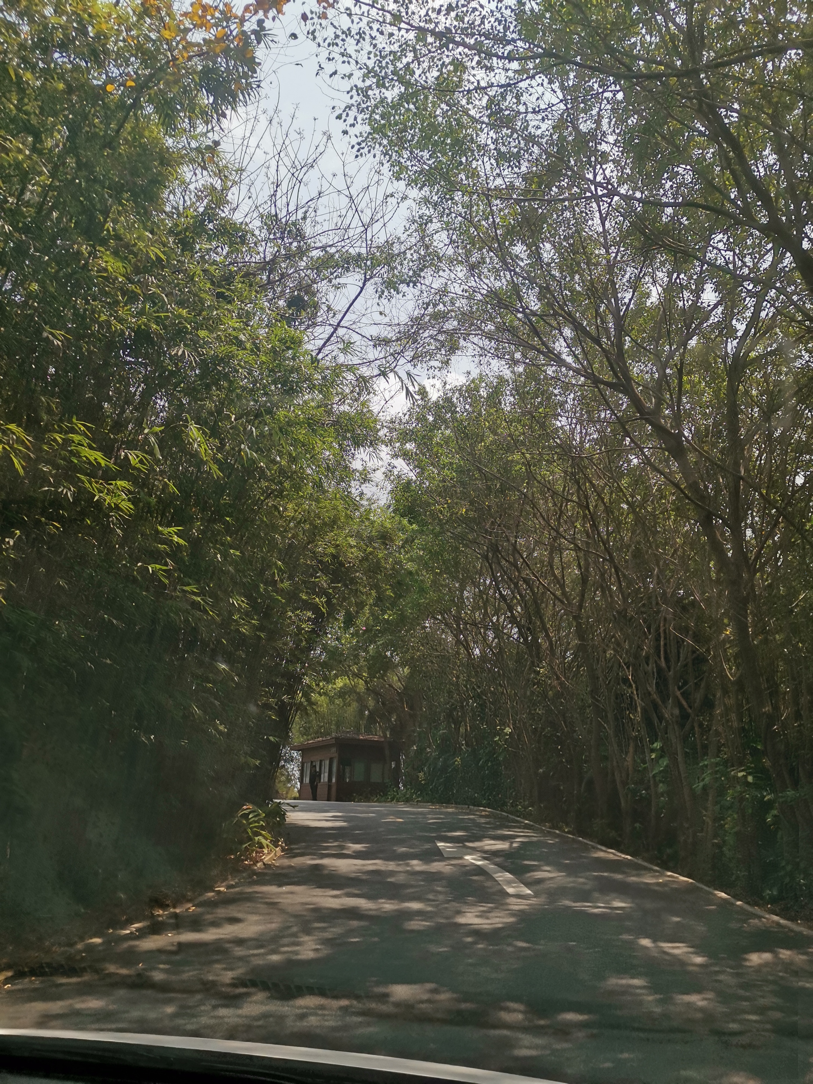 海南自驾环岛游攻略三亚出发,成都自驾海南环岛攻略路线