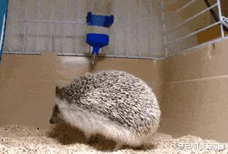 刚买的口红能不能用,刚买的口红拿出来会怎么样