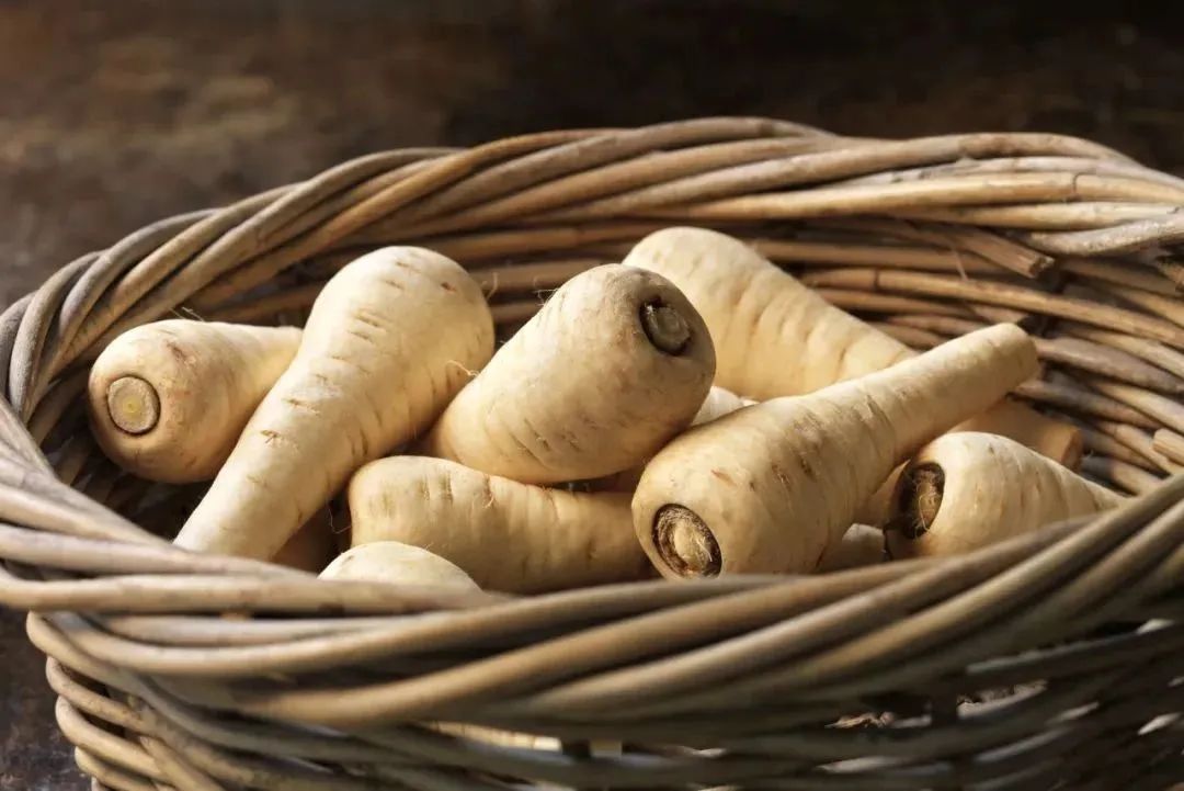 根类食物大全 (5种根菜类的食材)