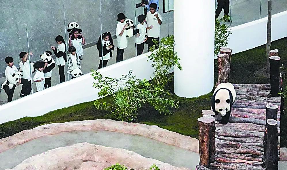 中国元素闪耀本届世界杯,中国元素卡塔尔世界杯处处闪耀