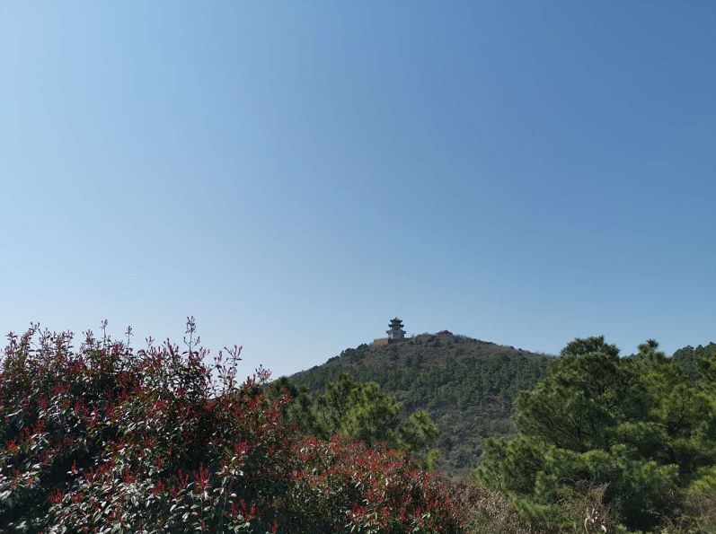 爱旅经常组织的市内登山路线，传说健康的人都去了这里......