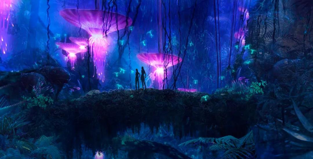 最后一个生还者,最后的生还者为何不拯救世界