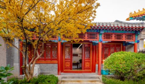 济南必打卡之地金秋时节,济南冬季打卡旅游胜地