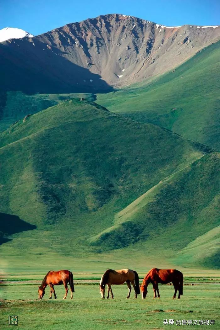 大美新疆的风景有哪些,大美新疆北疆美