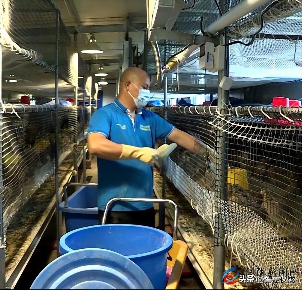 创业路上的奋斗者,返乡创业青年创业事迹