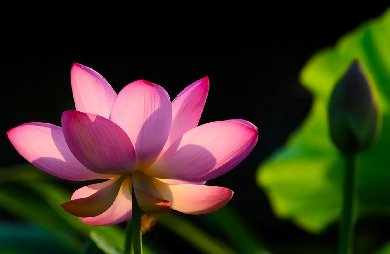 什么人需要闭环管理,真正靠谱的人都闭环管理