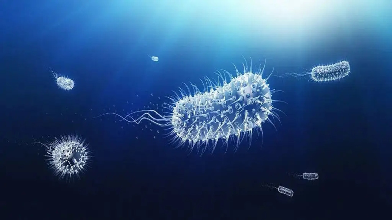 “一炎不合”就吃抗生素？别再当成消炎药乱用了，医生教你分清