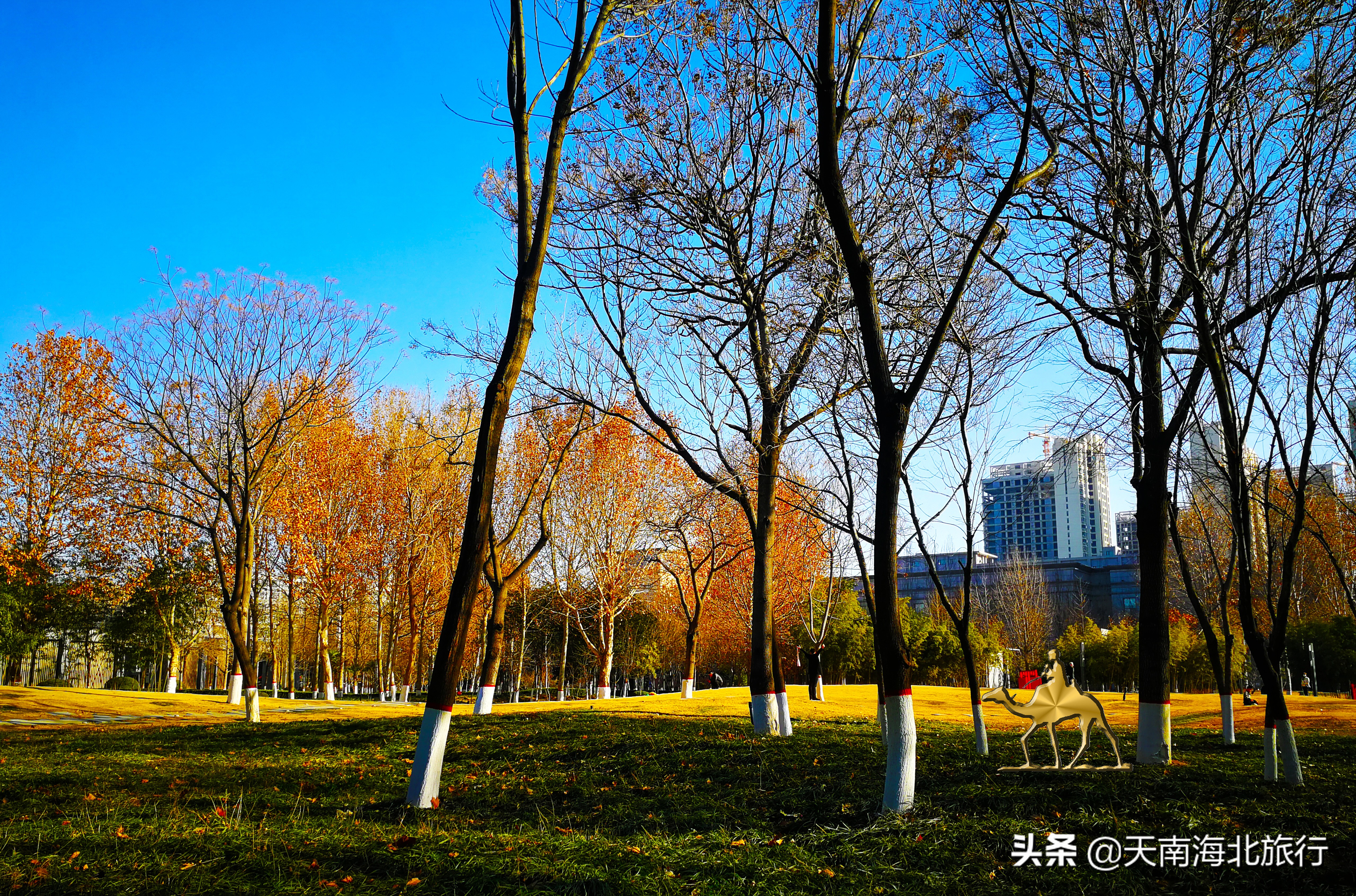 郑州，砂石、草坪、垂钓、运动、咖啡、图书馆……带孩可以玩一天