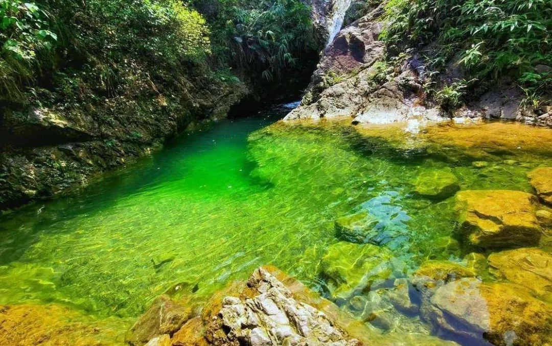 鹤山古劳水乡自由行,鹤山自由行攻略