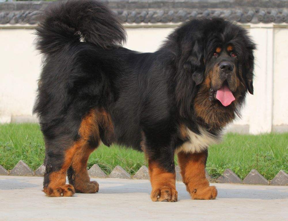 澶忓▋鍋囪鍒嗗竷鍖哄煙,澶忓▋鍋囪