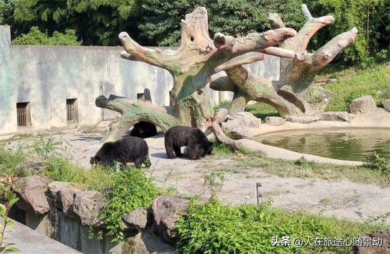 宁波东钱湖没人的地方,宁波东钱湖哪个景点风景最好