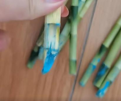 土养富贵竹叶子不绿施什么肥好,富贵竹叶子不绿了怎么回事