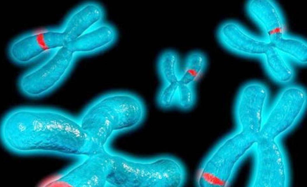 “阴阳人”真的存在？有女性的器官也有男性的器官？看完才知道