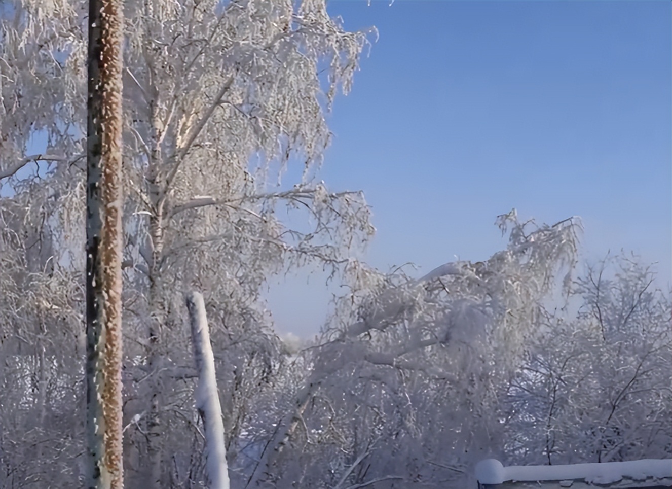 零下71度全世界最冷的地方游牧,在俄罗斯最冷的地方达到零下71度