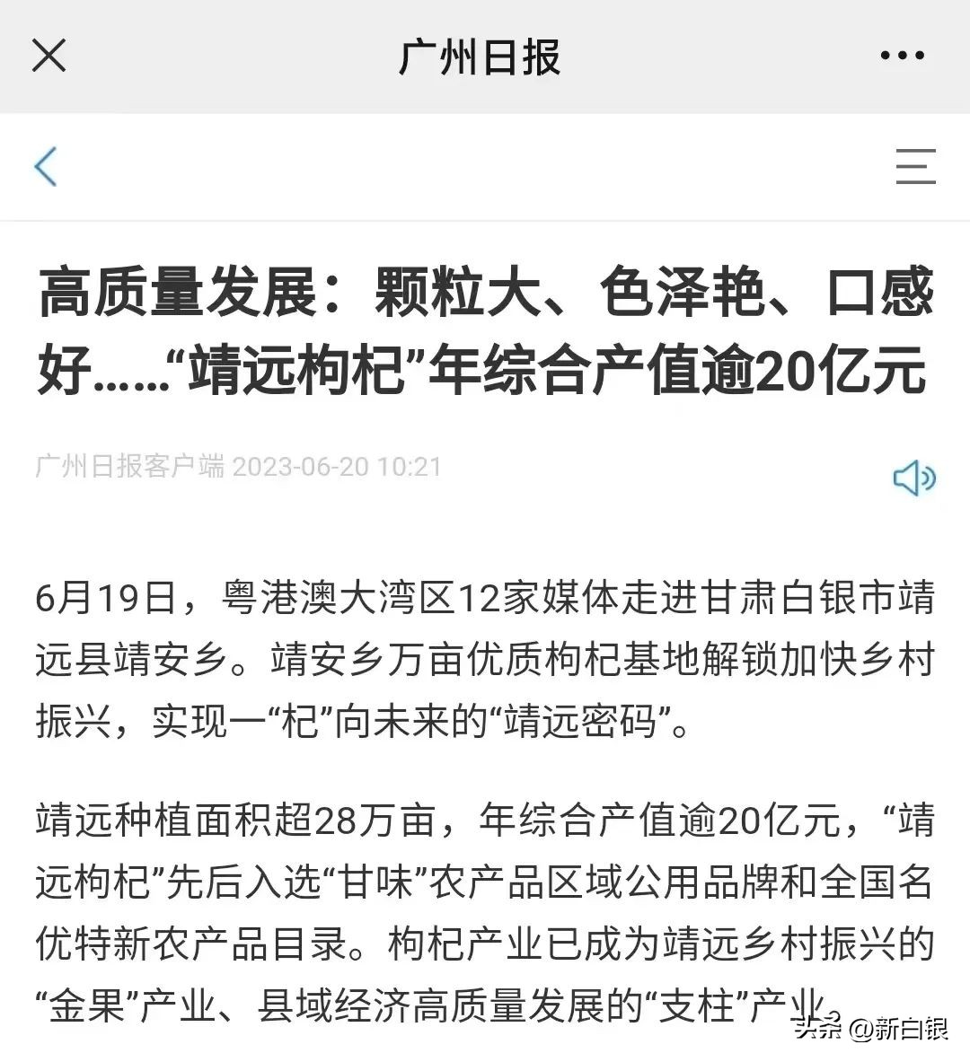 看看粤港澳大湾区记者们笔下的白银