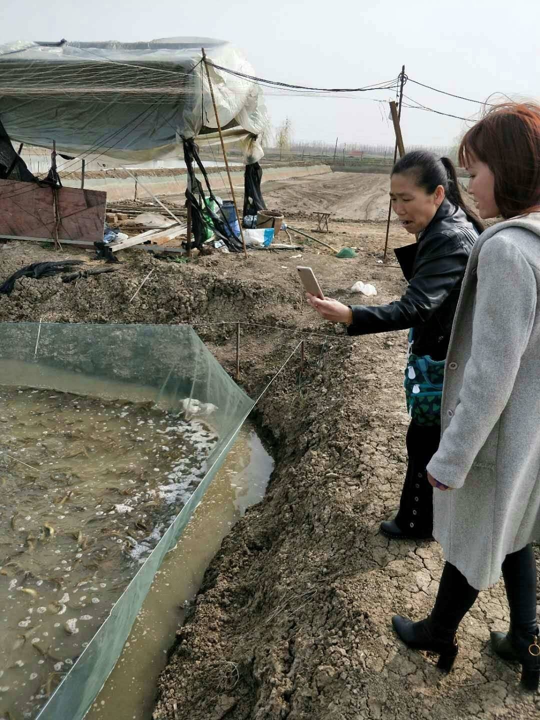 泥鳅水花常见病害及解决方法,泥鳅黄鳝的养殖技术和病害