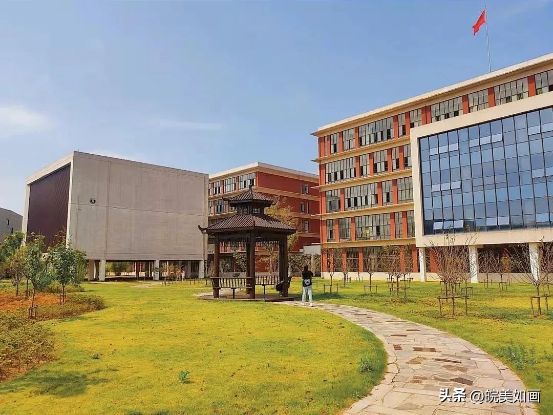 安徽大学好看的风景,高校最美秋景