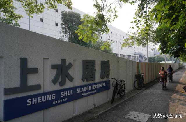 中央铁路援港班列开通时间,中央铁路援港班列正式开通