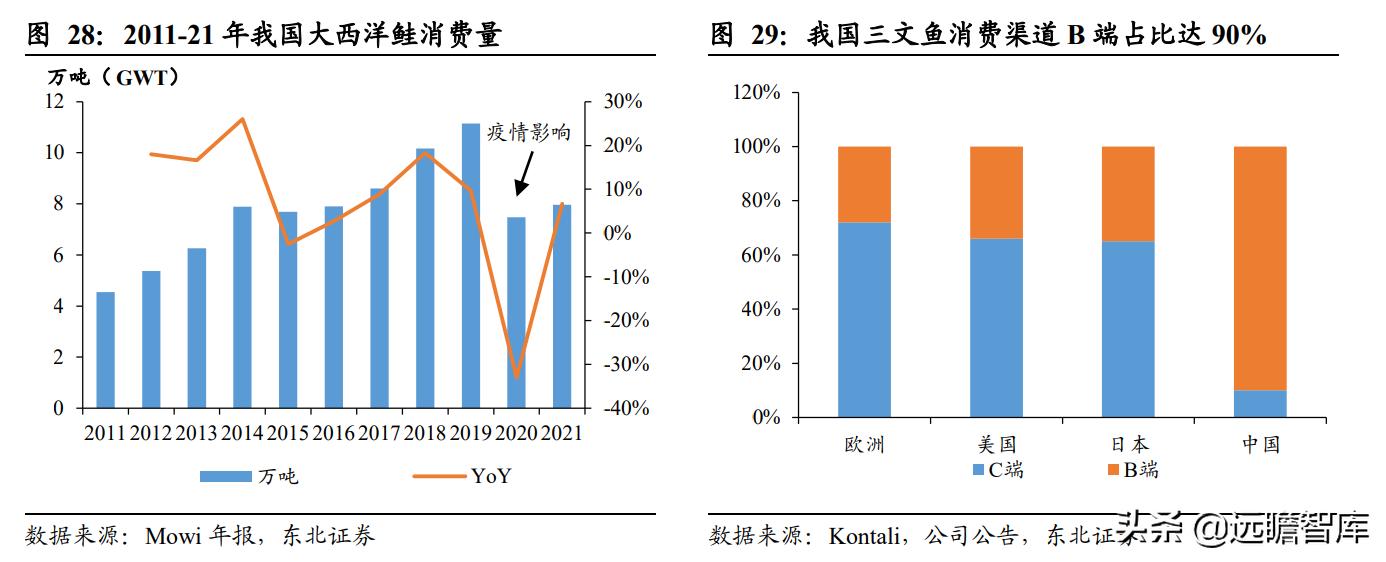 佳沃智利新三文鱼工厂,佳沃食品智利三文鱼