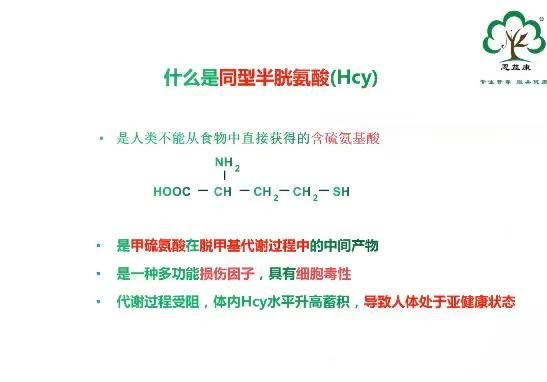 高同型半胱氨酸血症hcy正常值 (同型半胱氨酸hcy检测是什么)