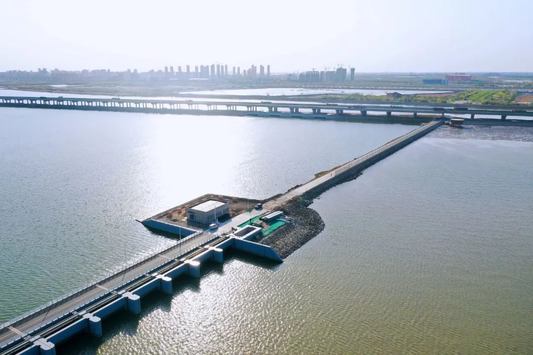 湿地保护公益诉讼典型案例,最高检河道治理公益诉讼典型案例