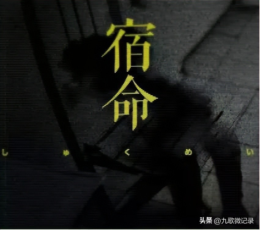 电商职业打假人净化市场,电商职业打假人主要的打假类目