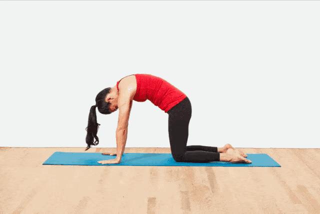 瑜伽面朝大海春暖花开,瑜伽但愿你所求都能如愿