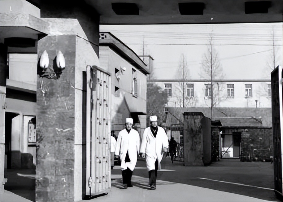 山西狼帮真实案件,90年代运城狼帮覆灭记