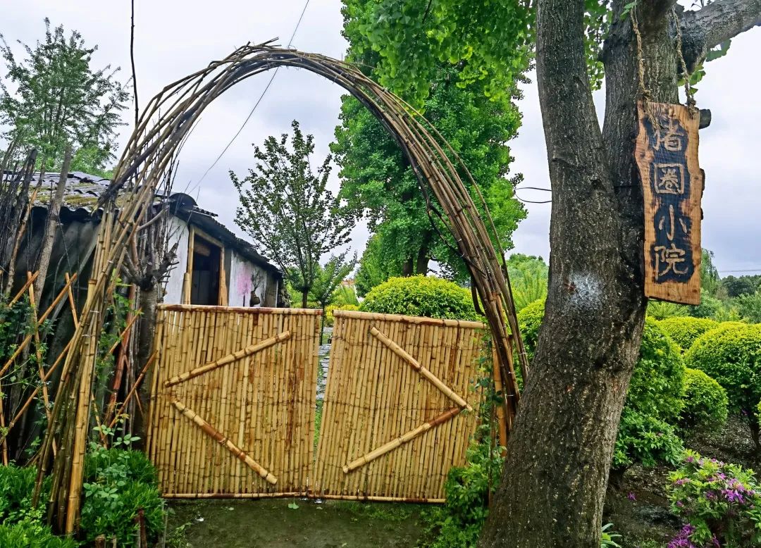 闲置猪圈变身小清新茶舍，3位80后妈妈在郫都打造向往的田园生活