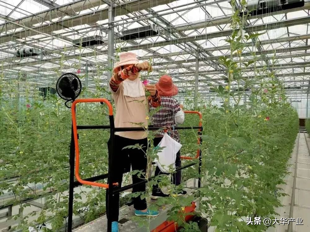 干货现代农业产业园应该如何打造,现代农业产业园建设规划方案