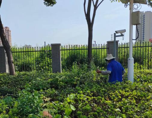 小区绿化养护日常管理方案,小区园林绿化养护知识