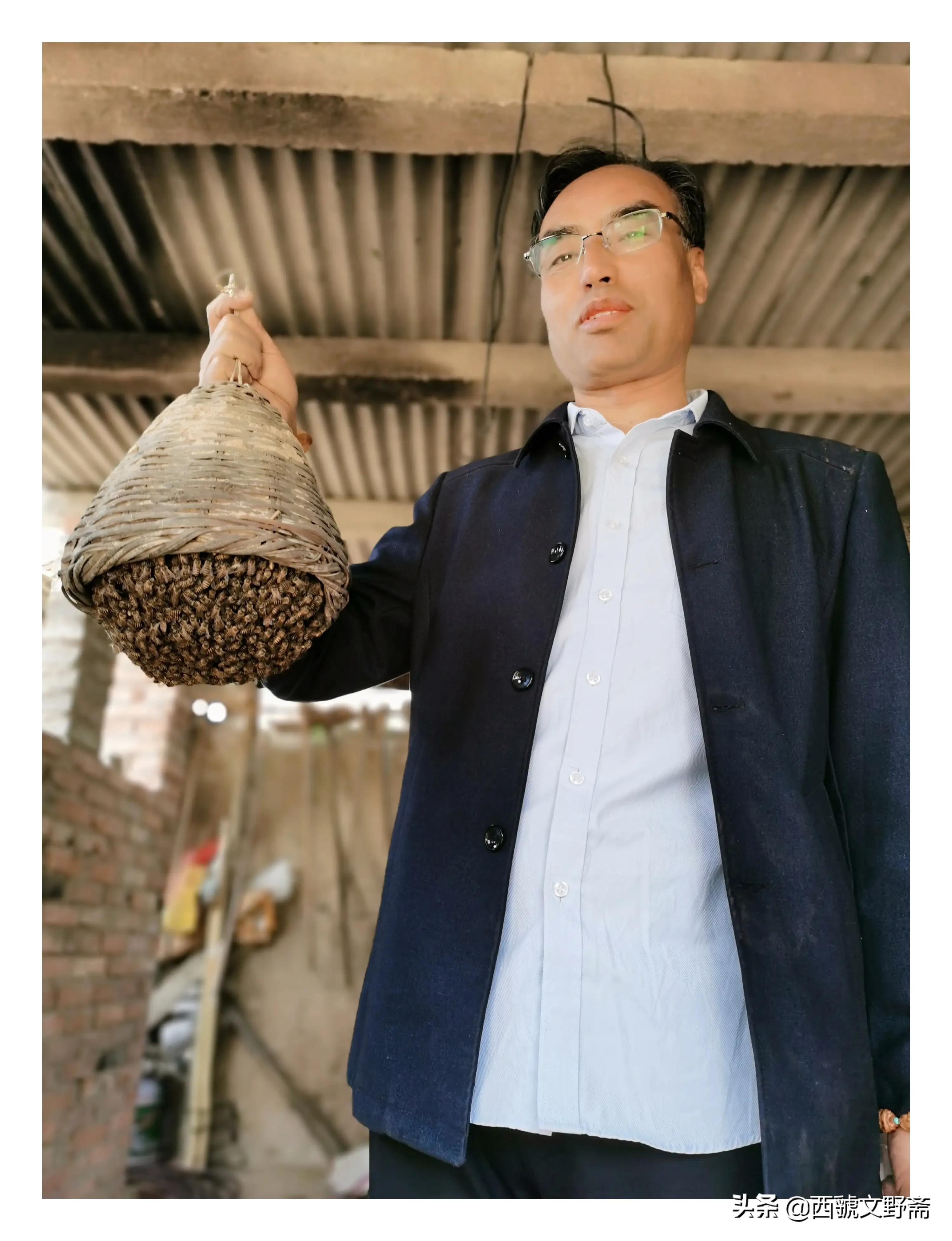 七律蜜蜂采花,咏蜜蜂七律