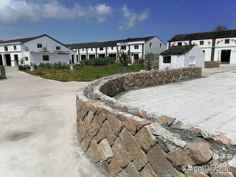 龙港市水心夜景,龙港市水心岛天气