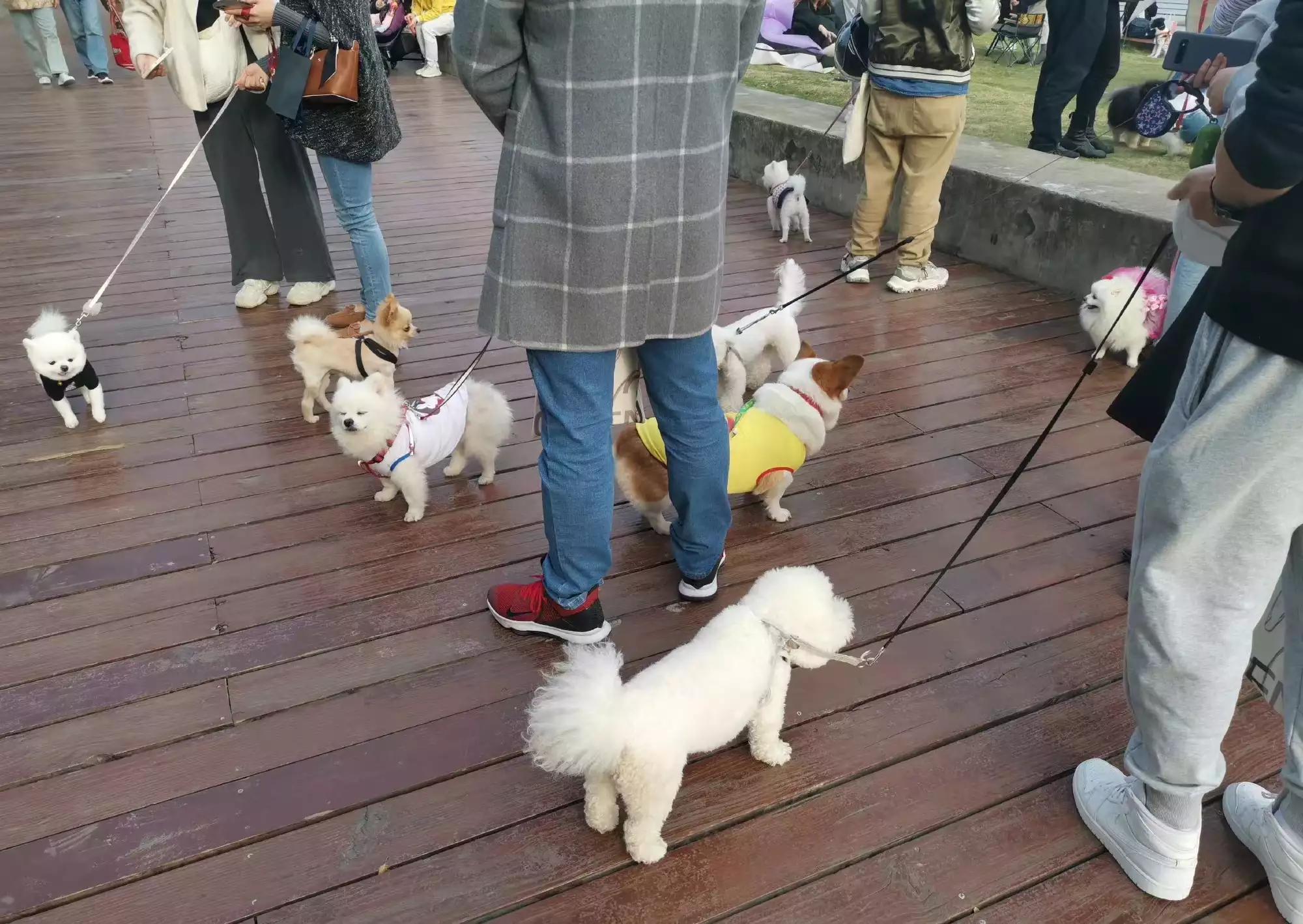 上海浦西滨江骑行攻略,上海休闲路线