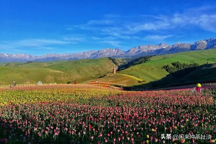 神仙的自留地,神的自留地喀纳斯