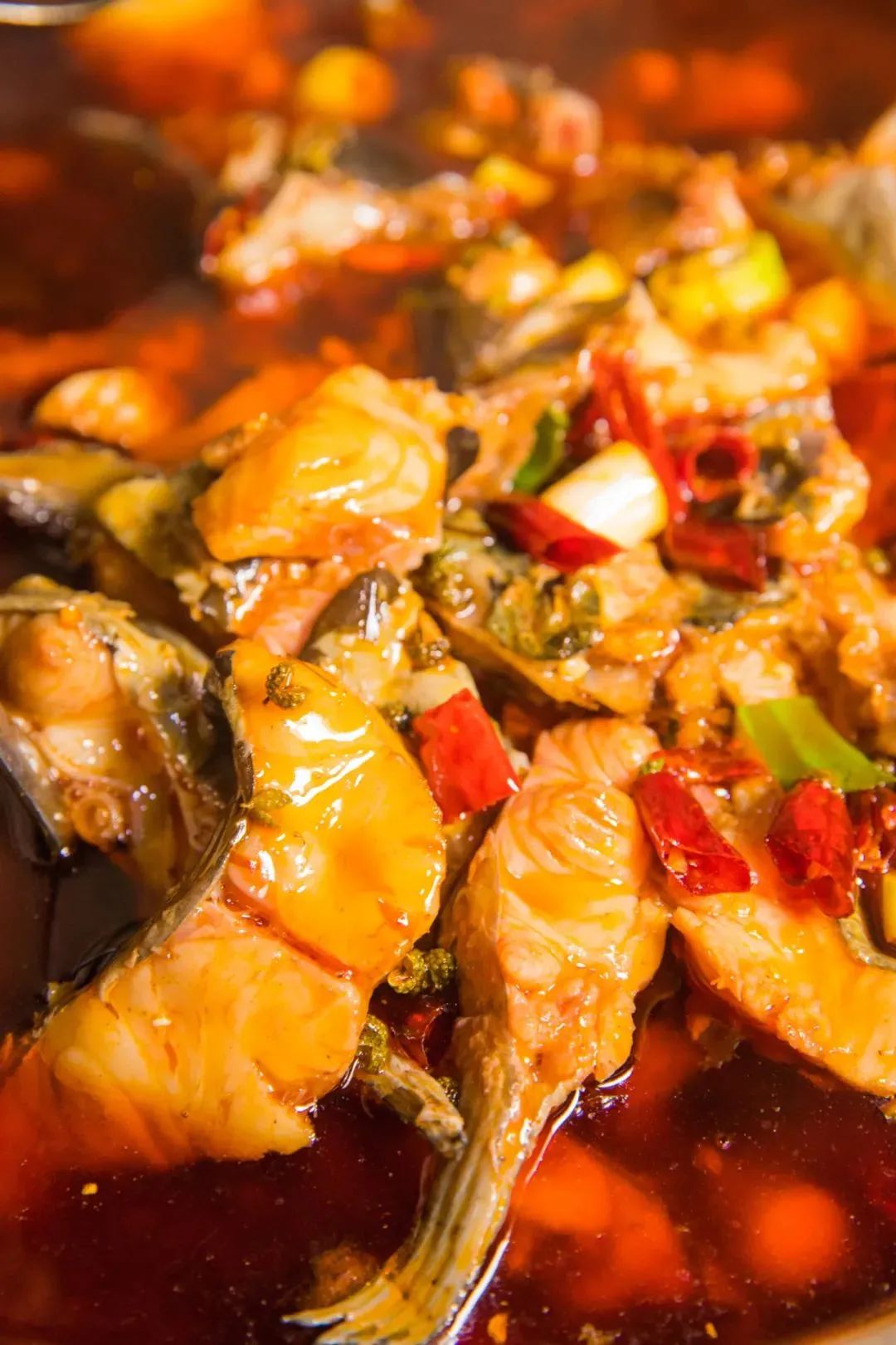 成都推三轮车上菜的苍蝇馆子,吃遍成都100家苍蝇馆子