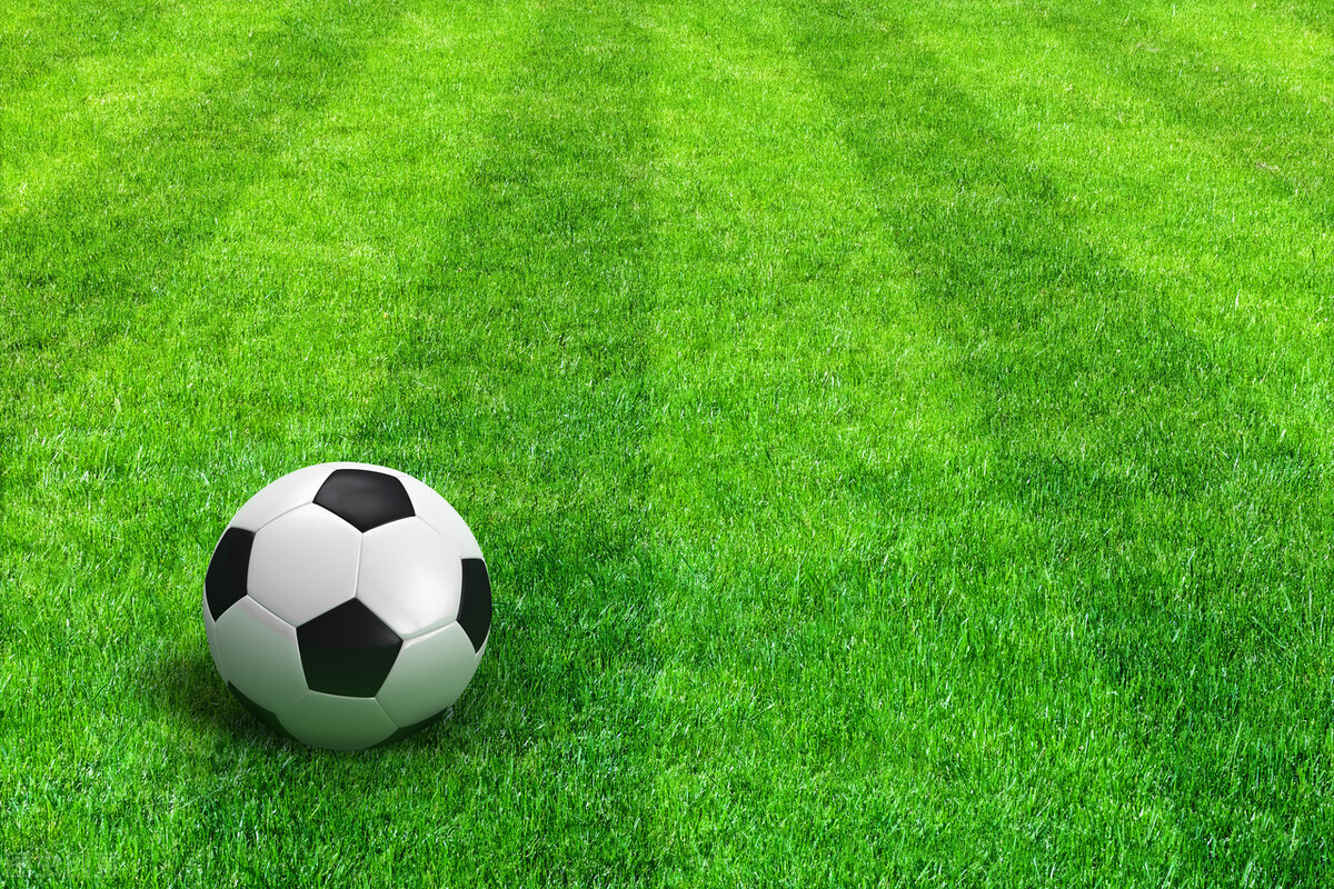 墨西哥移民需要什么冷知识,美国冷知识新墨西哥州