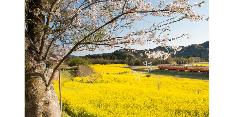 我38岁，未嫁，八姐弟，23个外甥侄子，每年红包让我苦不堪言