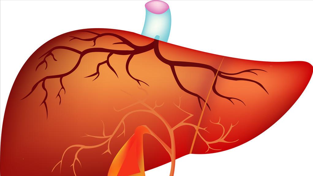 胃疼要警惕五种病,胆囊炎与胃疼的鉴别