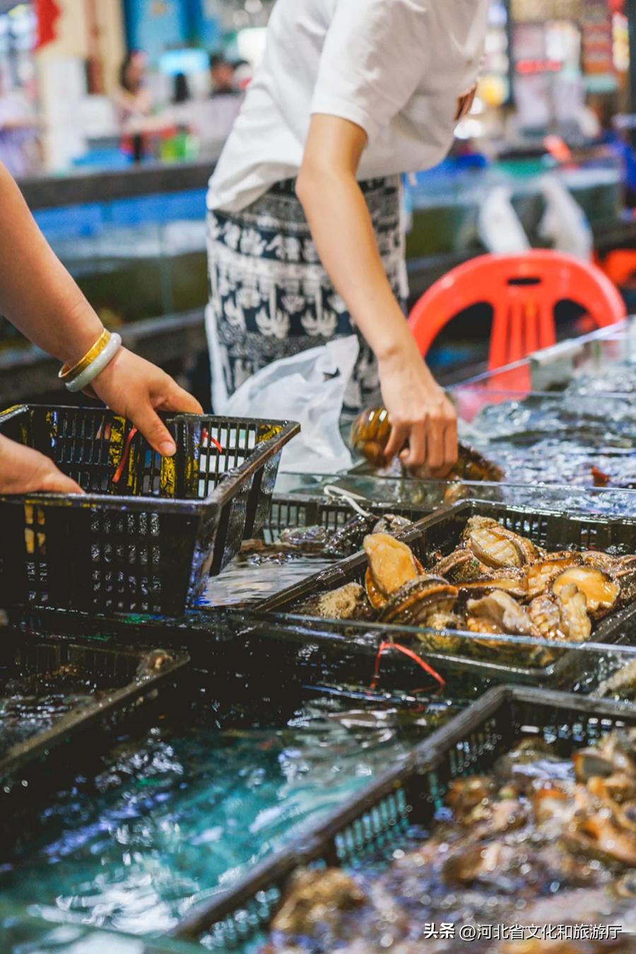 青岛营口路海鲜市场地图,中国海鲜多的地方