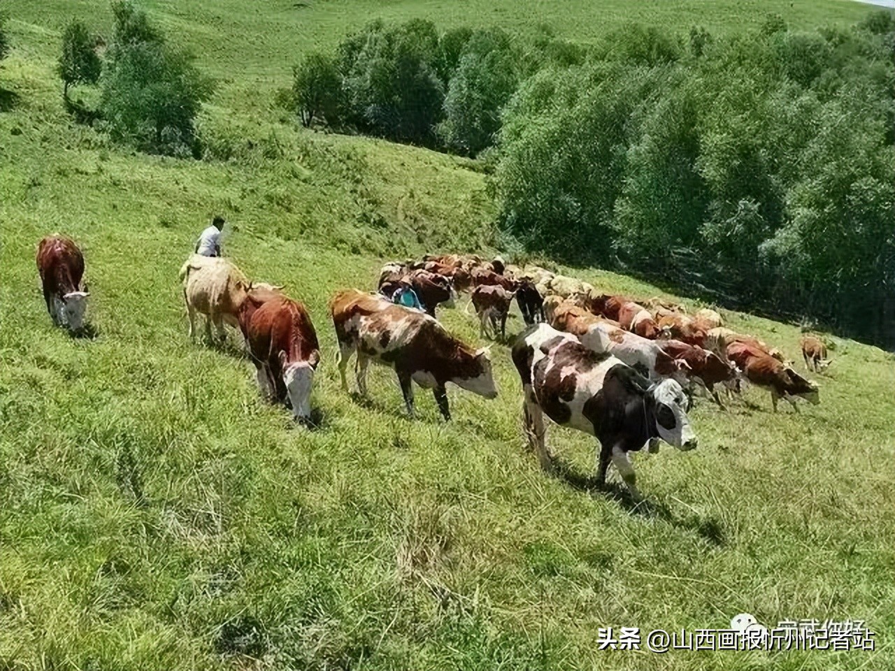 乡镇优化产业结构助推脱贫攻坚,比实绩晒亮点争先进活动方案