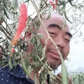 河南农民鲁智深多大岁数,鲁智深是一个什么性格的人