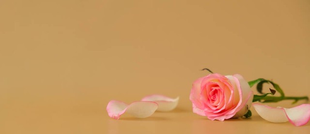 让别人记住你的小技巧,让别人立刻记住你的方法