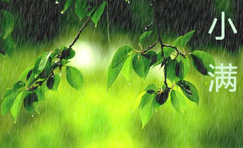 兔年最后一个节气,兔年日历节气