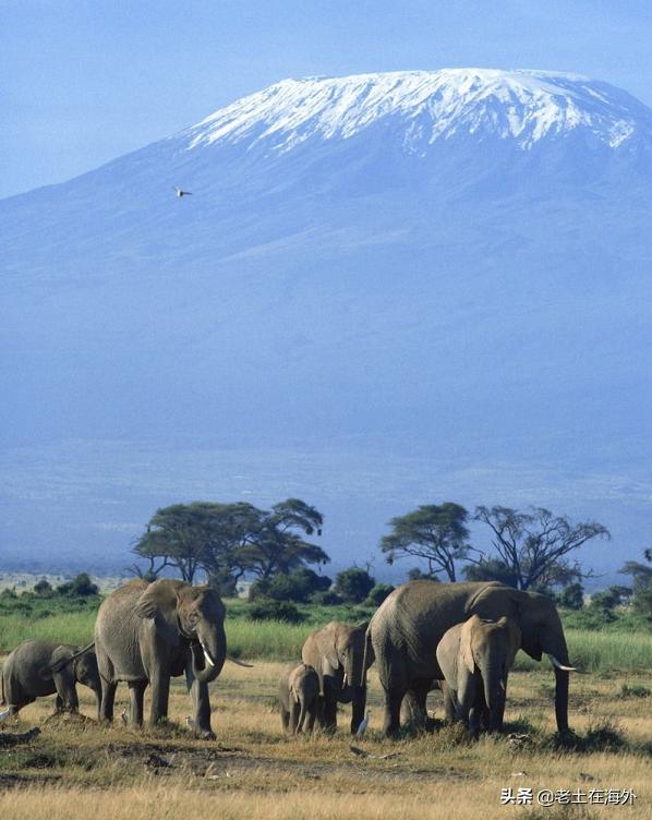坦桑尼亚有什么特别的,坦桑尼亚是最不发达国家吗