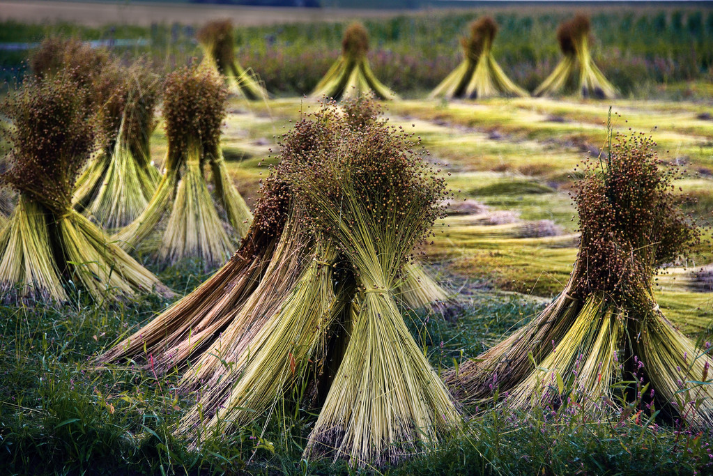 十九世纪前的俄中外交及贸易关系,18世纪世界贸易变化的影响