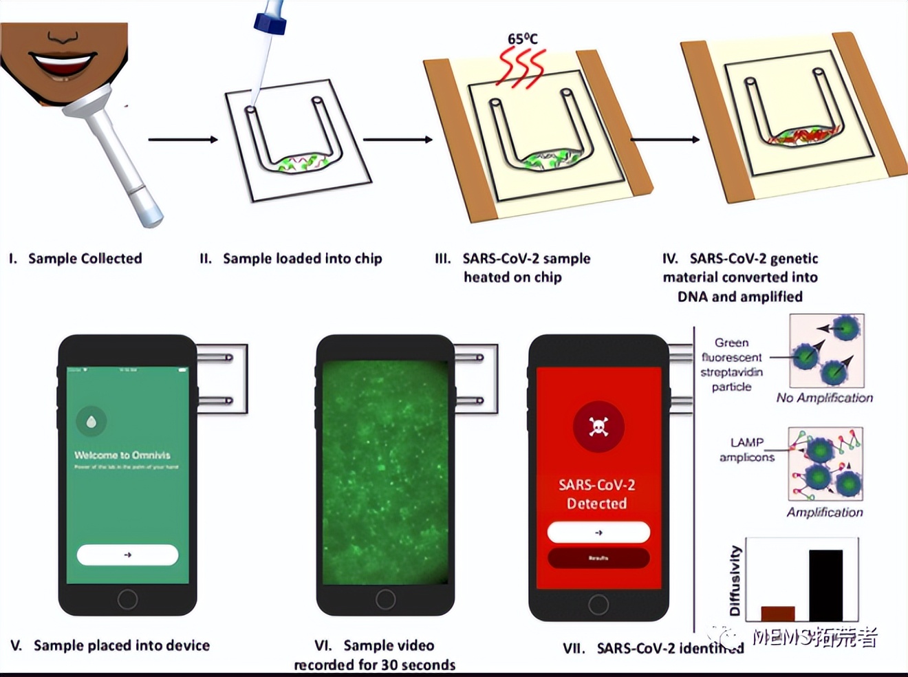 新冠病毒poct快检,新冠病毒快速检测芯片