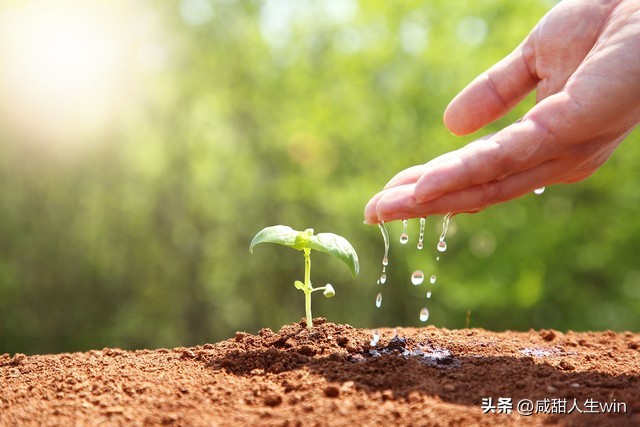 趁着年轻我偏要勉强詹青云,趁着年轻我偏要勉强完整版