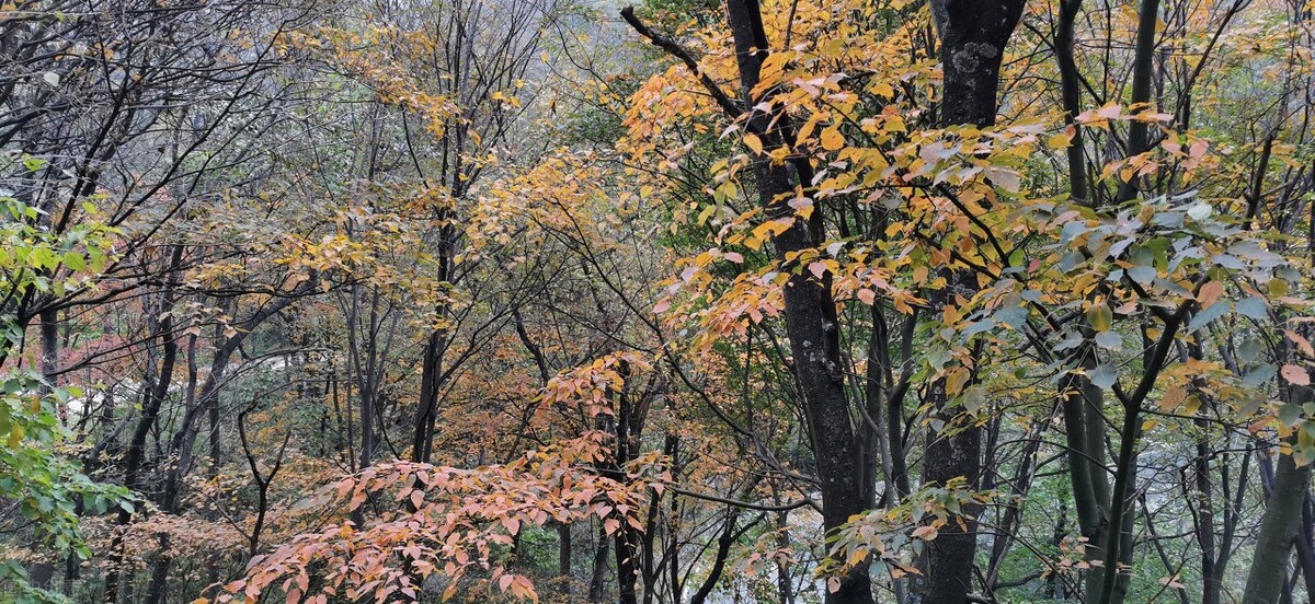 郭进拴,郭进拴令人惊心动魄的生死守护