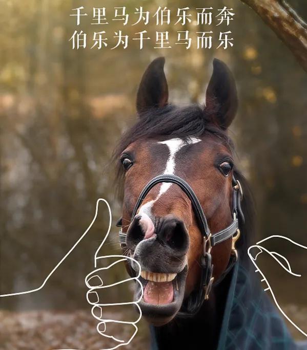 足球注册人口有哪些,中国足球注册人口查询